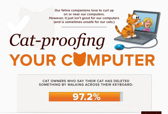 cat proofing your computer