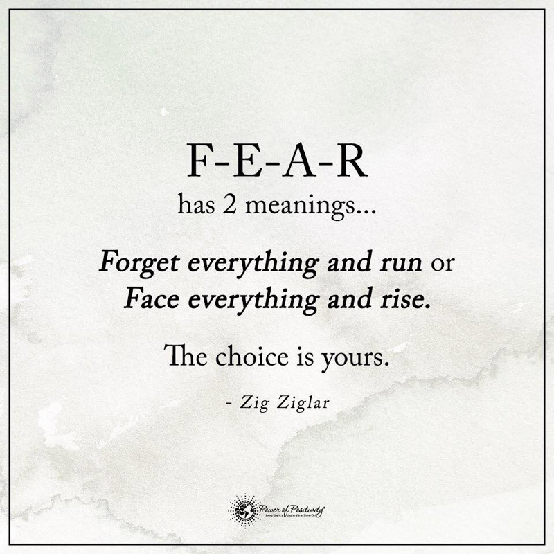FEAR has 2 meanings …