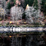 Spiegelbild